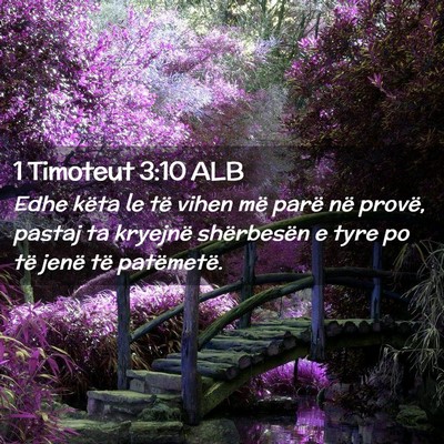 Picture 02 - 1 Timoteut 3:10 ALB - Edhe këta le të vihen më parë në provë, - Bible Verse Picture