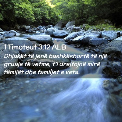 Picture 02 - 1 Timoteut 3:12 ALB - Dhjakët të jenë bashkëshortë të një gruaje - Bible Verse Picture