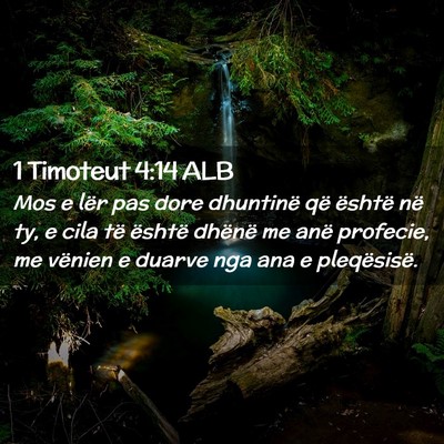 Picture 02 - 1 Timoteut 4:14 ALB - Mos e lër pas dore dhuntinë që është në ty, - Bible Verse Picture