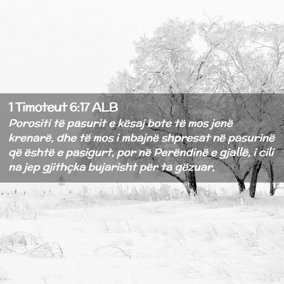 Picture 02 - 1 Timoteut 6:17 ALB - Porositi të pasurit e kësaj bote të mos jenë - Bible Verse Picture