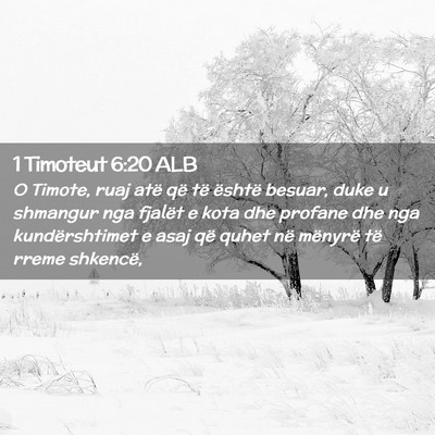 Picture 02 - 1 Timoteut 6:20 ALB - O Timote, ruaj atë që të është besuar, duke - Bible Verse Picture
