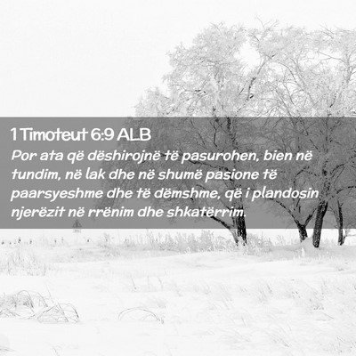 Picture 02 - 1 Timoteut 6:9 ALB - Por ata që dëshirojnë të pasurohen, bien në - Bible Verse Picture