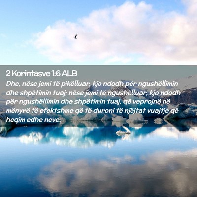 Picture 02 - 2 Korintasve 1:6 ALB - Dhe, nëse jemi të pikëlluar, kjo ndodh për - Bible Verse Picture