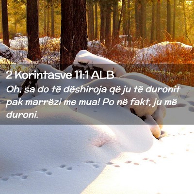 Picture 02 - 2 Korintasve 11:1 ALB - Oh, sa do të dëshiroja që ju të duronit pak - Bible Verse Picture