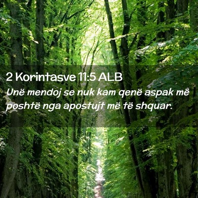 Picture 02 - 2 Korintasve 11:5 ALB - Unë mendoj se nuk kam qenë aspak më poshtë - Bible Verse Picture