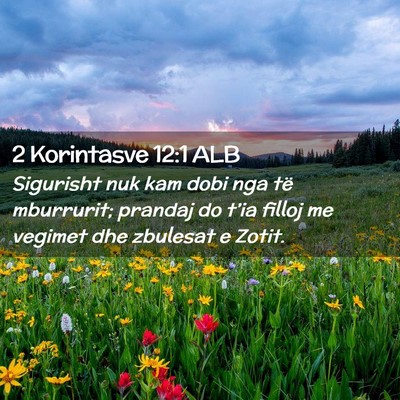Picture 02 - 2 Korintasve 12:1 ALB - Sigurisht nuk kam dobi nga të mburrurit; prandaj - Bible Verse Picture