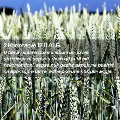 Picture 02 - 2 Korintasve 12:11 ALB - U bëra i marrë duke u mburrur; ju më - Bible Verse Picture