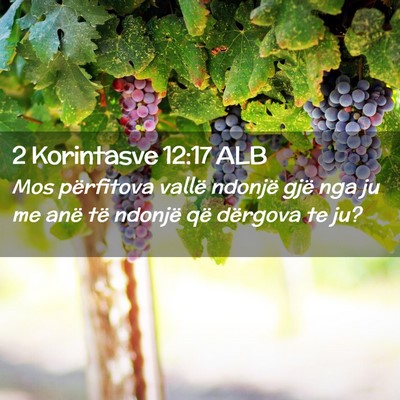 Picture 02 - 2 Korintasve 12:17 ALB - Mos përfitova vallë ndonjë gjë nga ju me anë - Bible Verse Picture