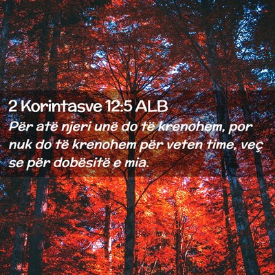Picture 02 - 2 Korintasve 12:5 ALB - Për atë njeri unë do të krenohem, por nuk do - Bible Verse Picture