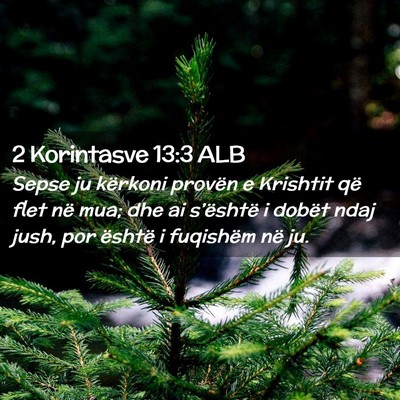 Picture 02 - 2 Korintasve 13:3 ALB - Sepse ju kërkoni provën e Krishtit që flet në - Bible Verse Picture