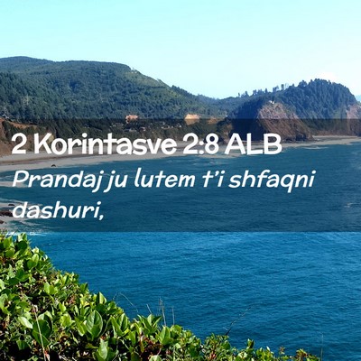 Picture 02 - 2 Korintasve 2:8 ALB - Prandaj ju lutem t’i shfaqni - Bible Verse Picture