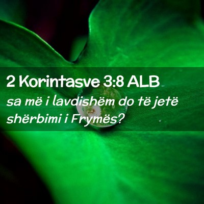Picture 02 - 2 Korintasve 3:8 ALB - sa më i lavdishëm do të jetë shërbimi i - Bible Verse Picture