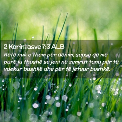 Picture 02 - 2 Korintasve 7:3 ALB - Këtë nuk e them për dënim, sepse që më - Bible Verse Picture