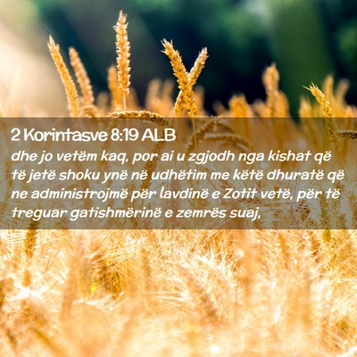 Picture 02 - 2 Korintasve 8:19 ALB - dhe jo vetëm kaq, por ai u zgjodh nga kishat që - Bible Verse Picture
