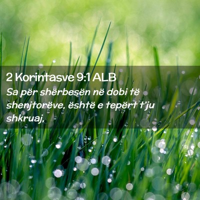 Picture 02 - 2 Korintasve 9:1 ALB - Sa për shërbesën në dobi të shenjtorëve, - Bible Verse Picture