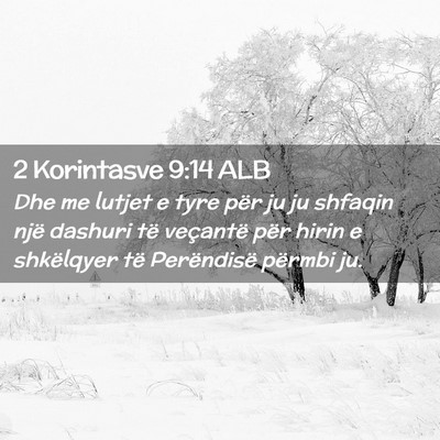 Picture 02 - 2 Korintasve 9:14 ALB - Dhe me lutjet e tyre për ju ju shfaqin një - Bible Verse Picture