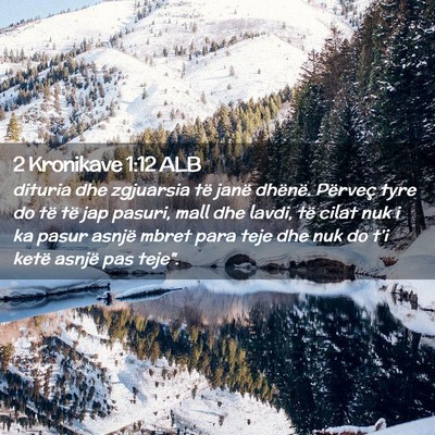 Picture 02 - 2 Kronikave 1:12 ALB - dituria dhe zgjuarsia të janë dhënë. Përveç - Bible Verse Picture