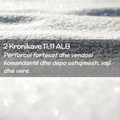 Picture 02 - 2 Kronikave 11:11 ALB - Përforcoi fortesat dhe vendosi komandantë dhe - Bible Verse Picture
