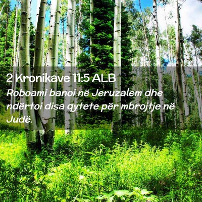 Picture 02 - 2 Kronikave 11:5 ALB - Roboami banoi në Jeruzalem dhe ndërtoi disa - Bible Verse Picture