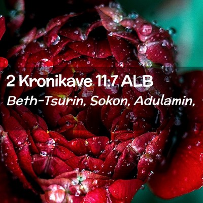 Picture 02 - 2 Kronikave 11:7 ALB - Beth-Tsurin, Sokon, - Bible Verse Picture