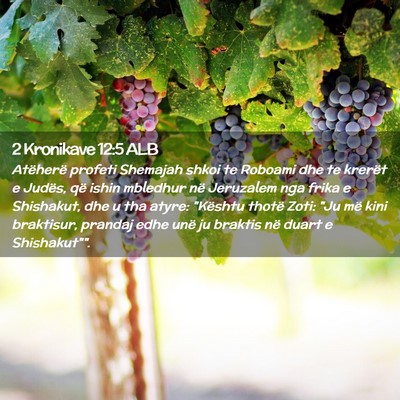 Picture 02 - 2 Kronikave 12:5 ALB - Atëherë profeti Shemajah shkoi te Roboami dhe - Bible Verse Picture