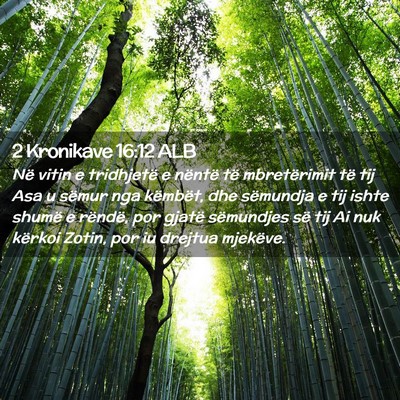Picture 02 - 2 Kronikave 16:12 ALB - Në vitin e tridhjetë e nëntë të mbretërimit - Bible Verse Picture