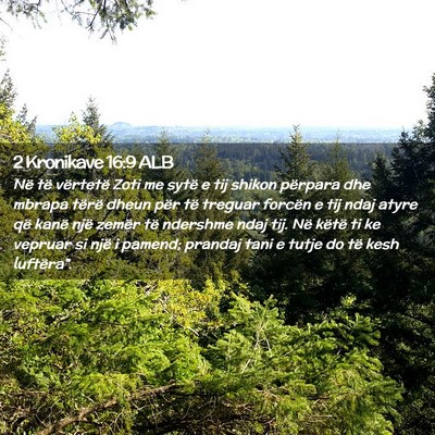 Picture 02 - 2 Kronikave 16:9 ALB - Në të vërtetë Zoti me sytë e tij shikon - Bible Verse Picture