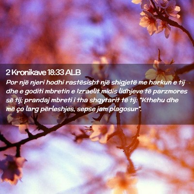 Picture 02 - 2 Kronikave 18:33 ALB - Por një njeri hodhi rastësisht një shigjetë - Bible Verse Picture