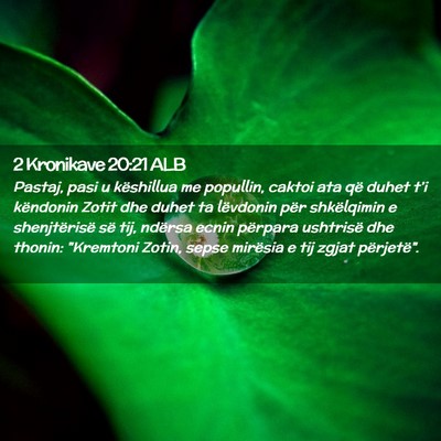 Picture 02 - 2 Kronikave 20:21 ALB - Pastaj, pasi u këshillua me popullin, caktoi ata - Bible Verse Picture