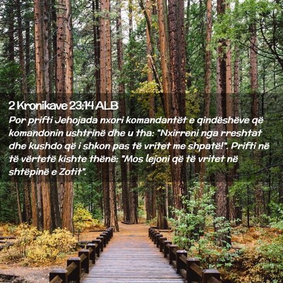 Picture 02 - 2 Kronikave 23:14 ALB - Por prifti Jehojada nxori komandantët e - Bible Verse Picture