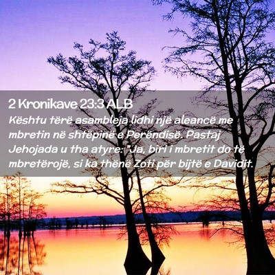Picture 02 - 2 Kronikave 23:3 ALB - Kështu tërë asambleja lidhi një aleancë me - Bible Verse Picture