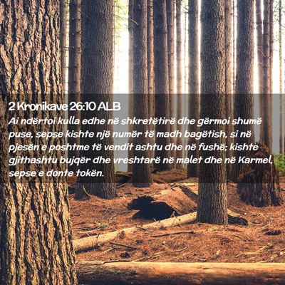 Picture 02 - 2 Kronikave 26:10 ALB - Ai ndërtoi kulla edhe në shkretëtirë dhe - Bible Verse Picture