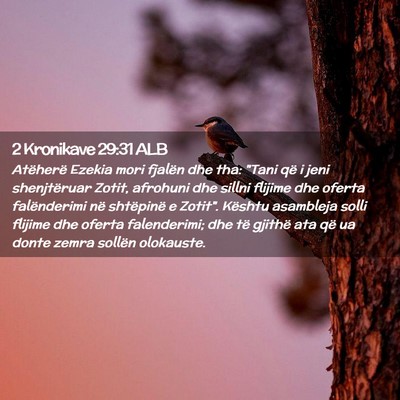 Picture 02 - 2 Kronikave 29:31 ALB - Atëherë Ezekia mori fjalën dhe tha: 