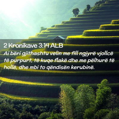 Picture 02 - 2 Kronikave 3:14 ALB - Ai bëri gjithashtu velin me fill ngjyrë - Bible Verse Picture