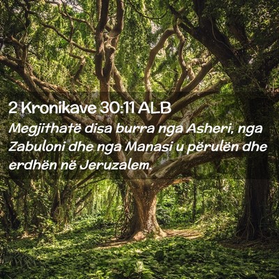 Picture 02 - 2 Kronikave 30:11 ALB - Megjithatë disa burra nga Asheri, nga Zabuloni - Bible Verse Picture
