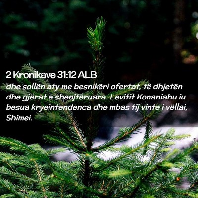 Picture 02 - 2 Kronikave 31:12 ALB - dhe sollën aty me besnikëri ofertat, të - Bible Verse Picture