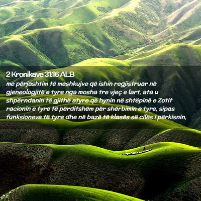 Picture 02 - 2 Kronikave 31:16 ALB - me përjashtim të meshkujve që ishin - Bible Verse Picture