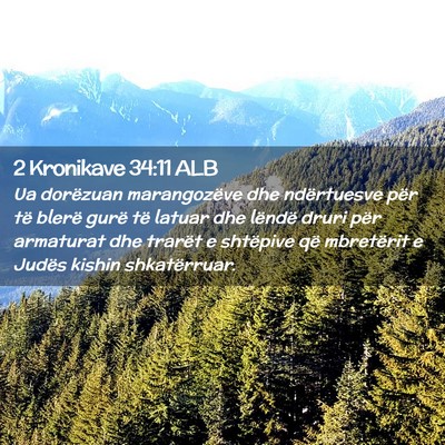 Picture 02 - 2 Kronikave 34:11 ALB - Ua dorëzuan marangozëve dhe ndërtuesve për - Bible Verse Picture
