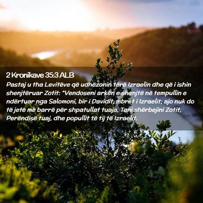 Picture 02 - 2 Kronikave 35:3 ALB - Pastaj u tha Levitëve që udhëzonin tërë - Bible Verse Picture