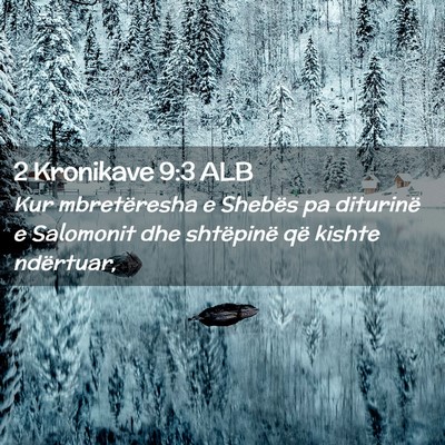Picture 02 - 2 Kronikave 9:3 ALB - Kur mbretëresha e Shebës pa diturinë e - Bible Verse Picture