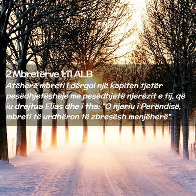 Picture 02 - 2 Mbretërve 1:11 ALB - Atëherë mbreti i dërgoi një kapiten tjetër - Bible Verse Picture