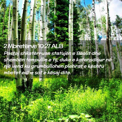 Picture 02 - 2 Mbretërve 10:27 ALB - Pastaj shkatërruan statujën e Baalit dhe - Bible Verse Picture