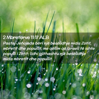 Picture 02 - 2 Mbretërve 11:17 ALB - Pastaj Jehojada bëri një besëlidhje midis - Bible Verse Picture