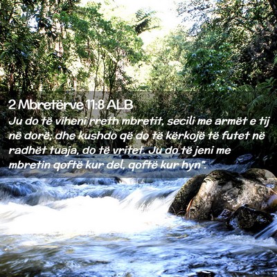 Picture 02 - 2 Mbretërve 11:8 ALB - Ju do të viheni rreth mbretit, secili me armët - Bible Verse Picture