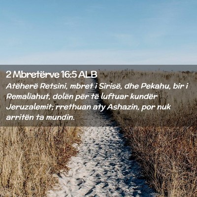 Picture 02 - 2 Mbretërve 16:5 ALB - Atëherë Retsini, mbret i Sirisë, dhe Pekahu, - Bible Verse Picture