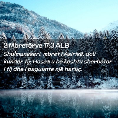 Picture 02 - 2 Mbretërve 17:3 ALB - Shalmaneseri, mbret i Asirisë, doli kundër tij; - Bible Verse Picture