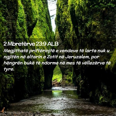 Picture 02 - 2 Mbretërve 23:9 ALB - Megjithatë priftërinjtë e vendeve të larta - Bible Verse Picture