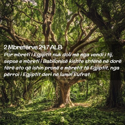 Picture 02 - 2 Mbretërve 24:7 ALB - Por mbreti i Egjiptit nuk doli më nga vendi i - Bible Verse Picture
