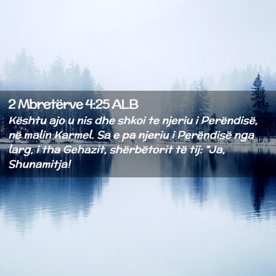 Picture 02 - 2 Mbretërve 4:25 ALB - Kështu ajo u nis dhe shkoi te njeriu i - Bible Verse Picture