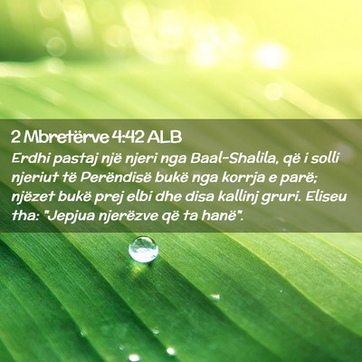 Picture 02 - 2 Mbretërve 4:42 ALB - Erdhi pastaj një njeri nga Baal-Shalila, që i - Bible Verse Picture